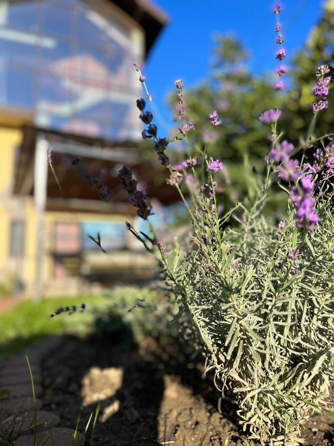 Casa Topazz Târgu Jiu Eksteriør billede